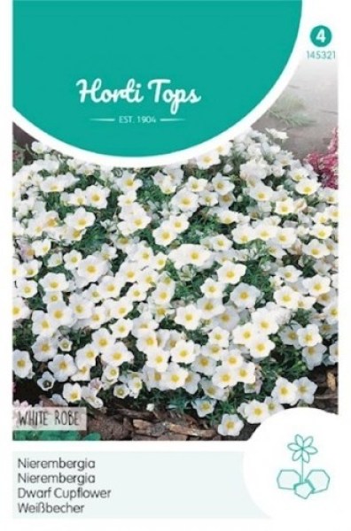 145321 Nierembergia hippomanica_500x500